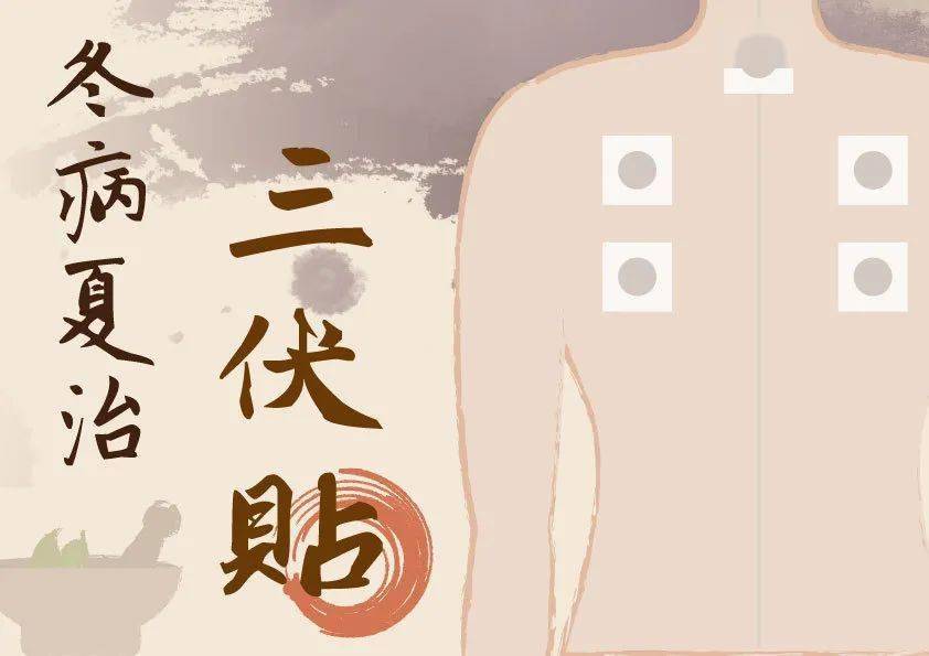 【詳解】什么是三伏貼？三伏貼的功效與注意事項！